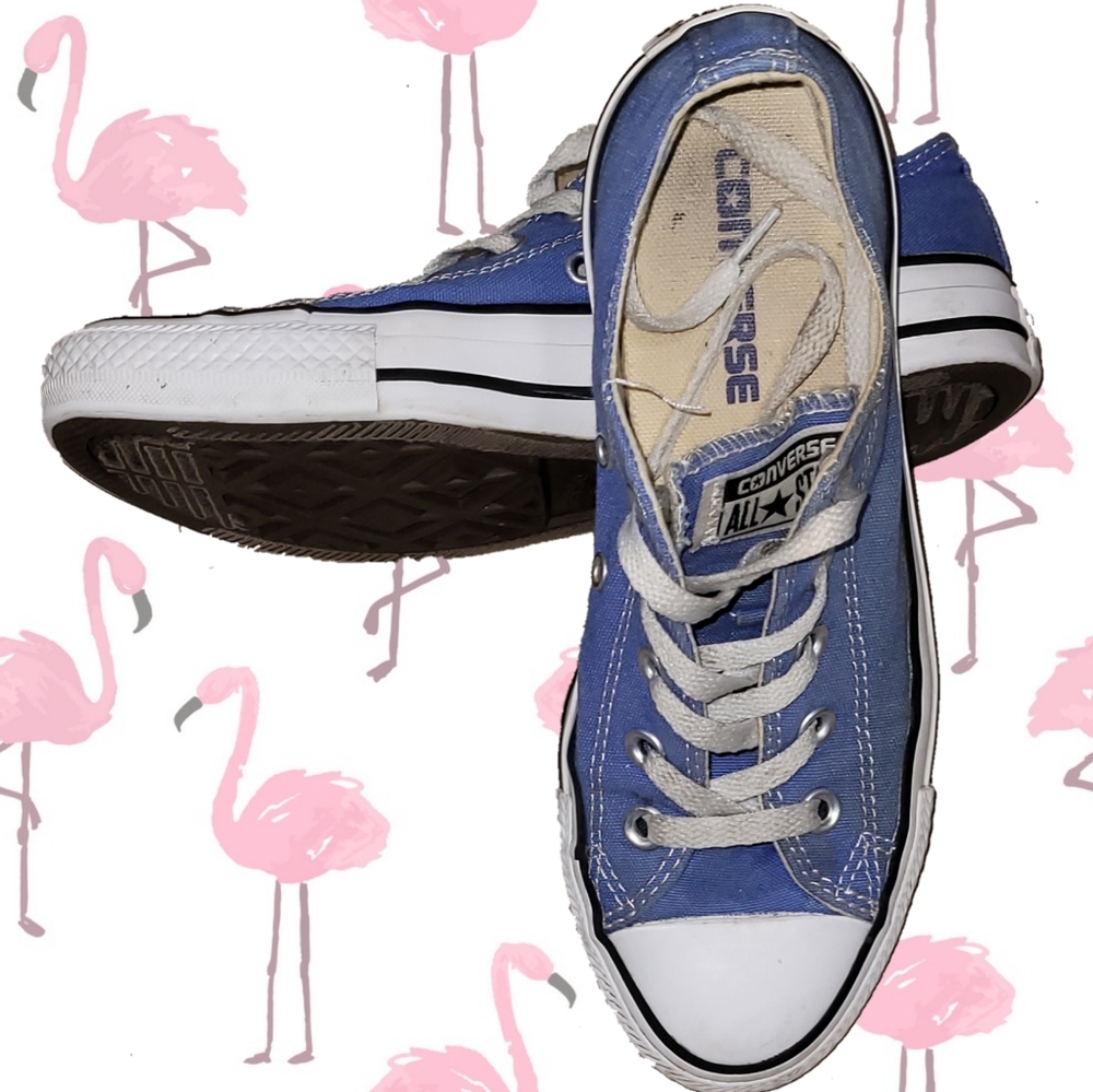Converse Chuck Taylor All Star Ox Low Top Sneakers